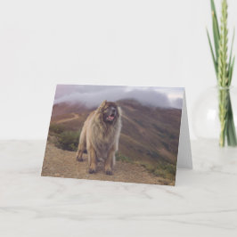 Tarjeta montaña Leonberger