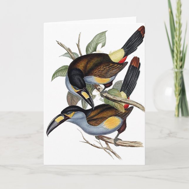 Tarjeta montaña Placa-cargada en cuenta Toucan (Anverso)