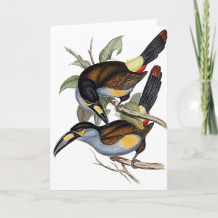 Tarjeta montaña Placa-cargada en cuenta Toucan