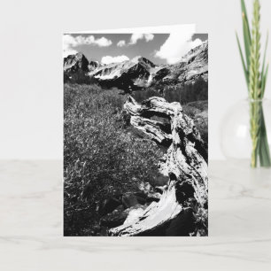 Tarjeta Montañas de árboles muertos, negro y blanco, en bl