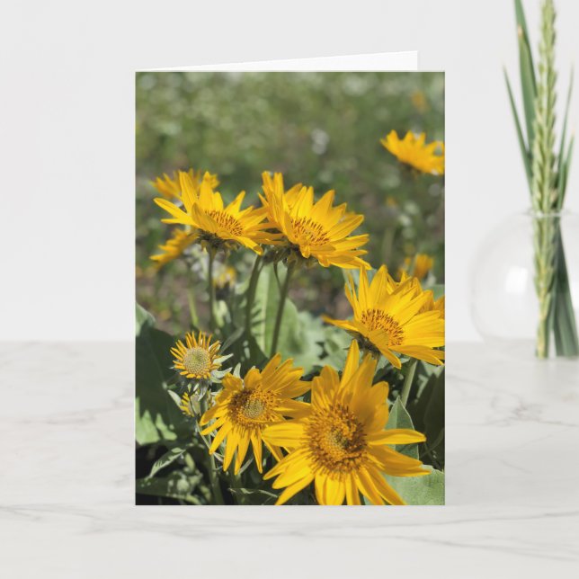 Tarjeta Montañas de la pata de oso (Anverso)