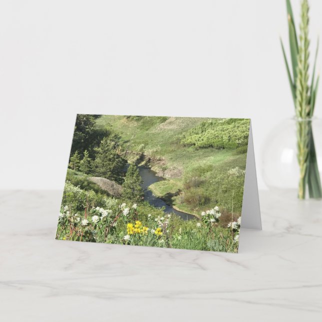 Tarjeta Montañas de la pata de oso, Havre, TA (Anverso)