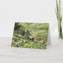 Tarjeta Montañas de la pata de oso, Havre, TA