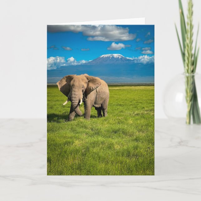 Tarjeta Montañas | Monte Kilimanjaro Tanzania, África (Anverso)