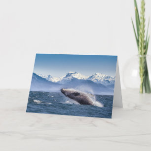 Tarjeta Montañas Violación de la Bahía de Glaciares de B