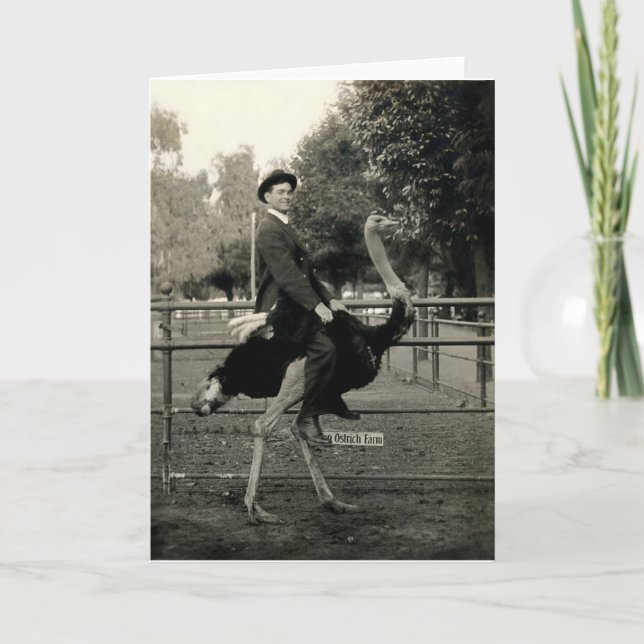 Tarjeta Montar a caballo 1910 de la avestruz (Anverso)