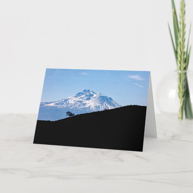 TARJETA MONTAR SHASTA (Anverso)