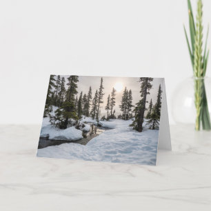 Tarjeta Monte Washington, Columbia Británica