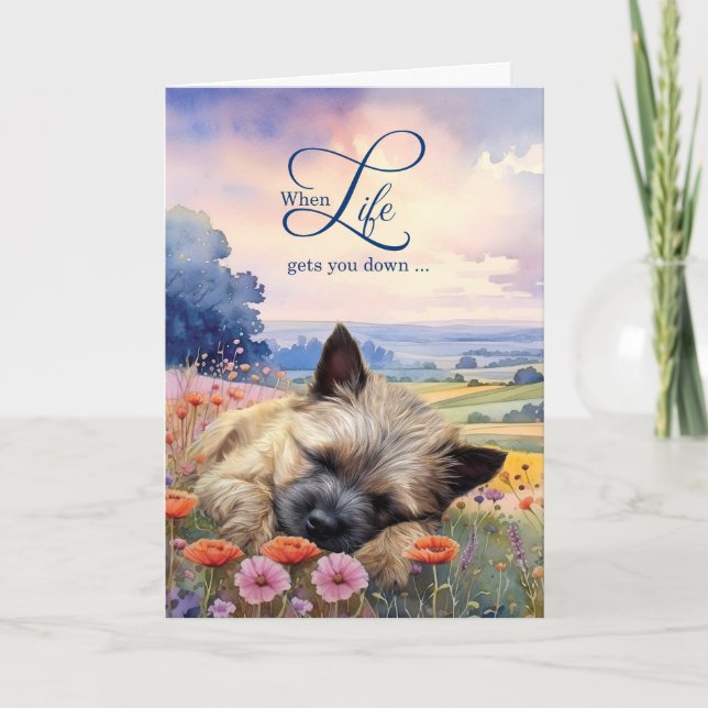 Tarjeta Montículo de aliento Terrier perro pradera de flor (Anverso)