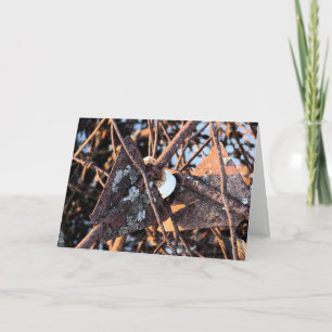 Tarjeta Montón de chatarra oxidada, cumpleaños