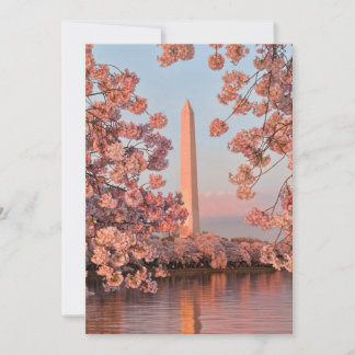 Tarjeta Monumento a Washington con flores de cerezo