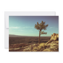 Monumento Nacional El Malpais