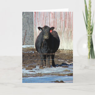 Tarjeta Moo