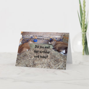 TARJETA MOO COWS HABLA DE TU DESEO DE CUMPLEAÑOS