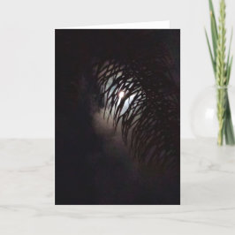 Tarjeta Moon Frond