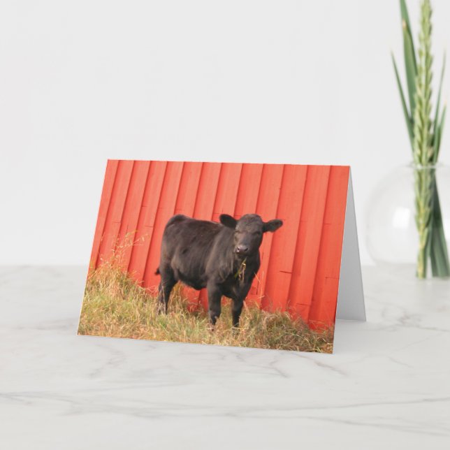 Tarjeta Mooooo (Anverso)