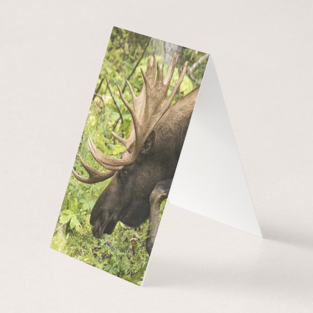 Tarjeta Moose de significación (Reverso)