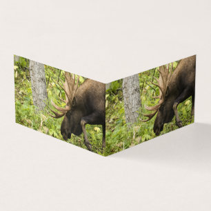 Tarjeta Moose de significación