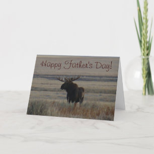 Tarjeta Moose de toros M1