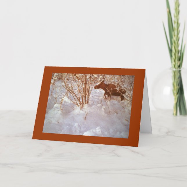 Tarjeta Moose in Alaska Blank Greeting Card (Anverso)