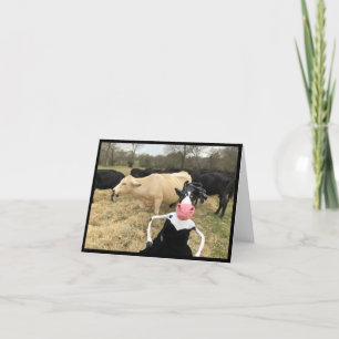 Tarjeta Mootilda dice "¡HAY!"