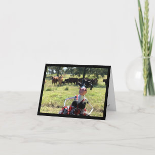 Tarjeta Mootilda le conseguirá en un buen humor