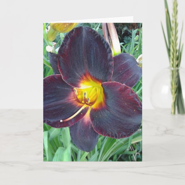 Tarjeta morada oscura Lily Blank (Anverso)
