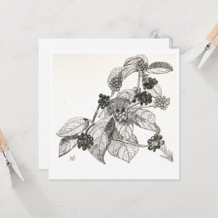 Tarjeta Moras a pluma y tinta