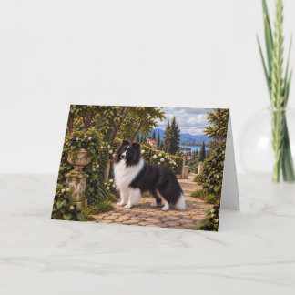 Tarjeta Moras, Pastor de Shetland