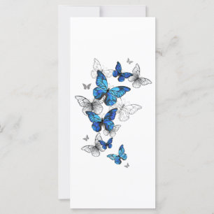 Tarjeta Morfo de las mariposas voladoras azules