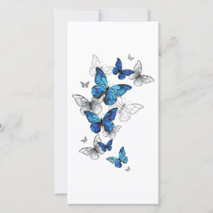 Tarjeta Morfo de las mariposas voladoras azules