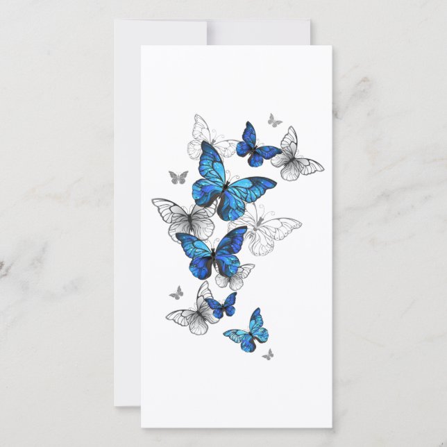 Tarjeta Morfo de las mariposas voladoras azules (Anverso)