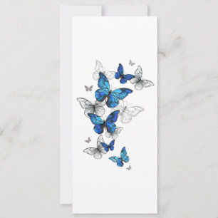 Tarjeta Morfo de las mariposas voladoras azules