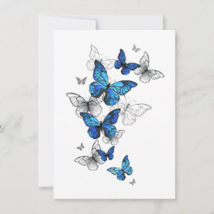 Tarjeta Morfo de las mariposas voladoras azules