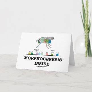 Tarjeta Morfogénesis Interior (Genes Drosophila de la mosc