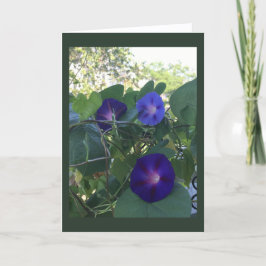 Tarjeta Morning Glory Kaleidoscope Blank
