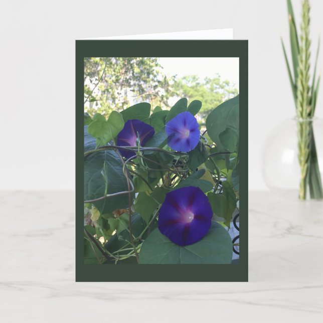 Tarjeta Morning Glory Kaleidoscope Blank  (Anverso)