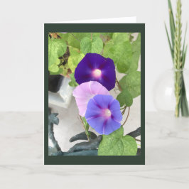 Tarjeta Morning Glory Trio Blank