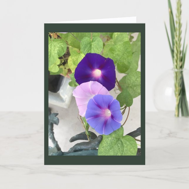 Tarjeta Morning Glory Trio Blank  (Anverso)