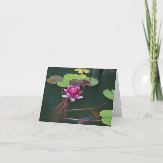 Tarjeta Morning Lily (Anverso)