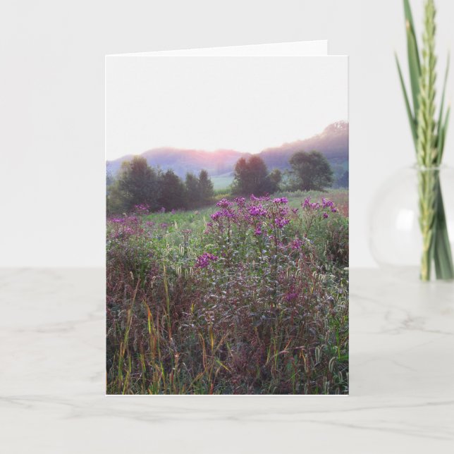 Tarjeta Morning Meadow Blank (Anverso)