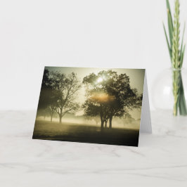 Tarjeta Morning Mist