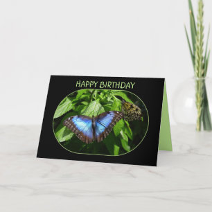 Tarjeta Morpho Azul Mariposa Feliz cumpleaños