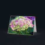 Tarjeta Morple Hydrangea Sweet Friend<br><div class="desc">Tarjeta de cumpleaños Purple Hydrangea Sweet Friend</div>