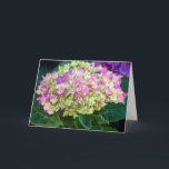 Tarjeta Morple Hydrangea Sweet Friend<br><div class="desc">Tarjeta de cumpleaños Purple Hydrangea Sweet Friend</div>