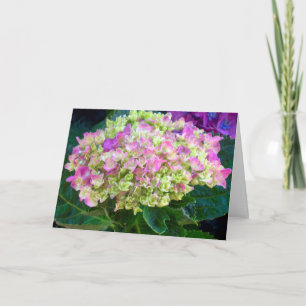 Tarjeta Morple Hydrangea Sweet Friend