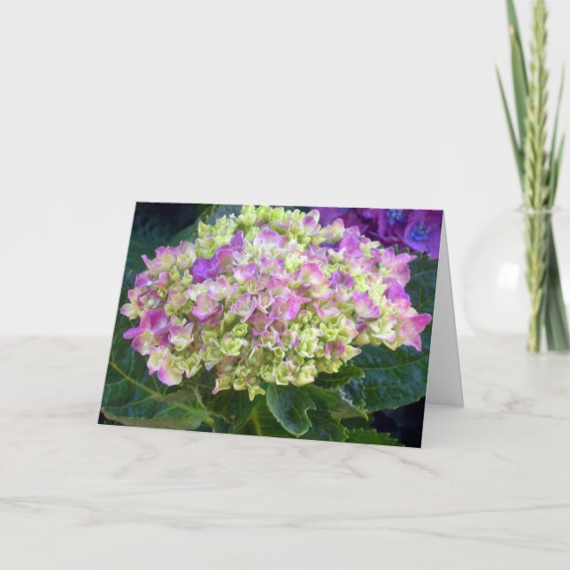 Tarjeta Morple Hydrangea Sweet Friend (Anverso)