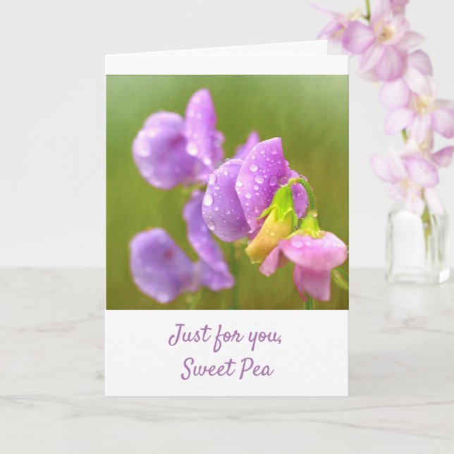 Tarjeta Morple Sweet Pea Ponte Bien (Orquídea)