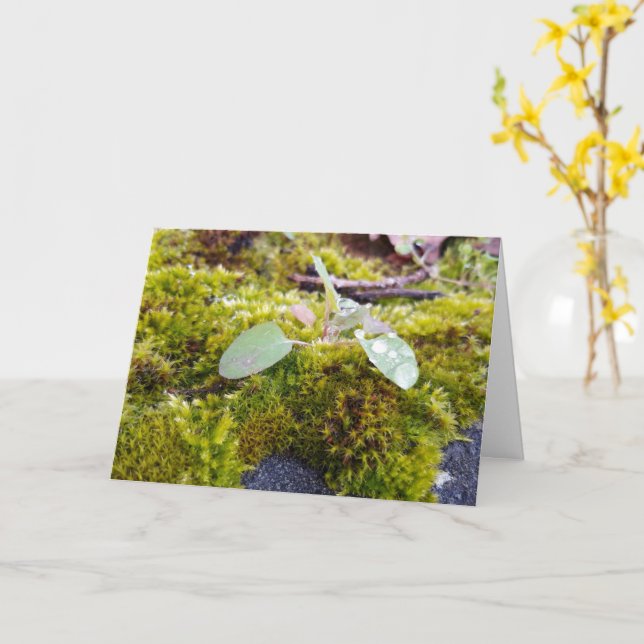 Tarjeta Moscas con flores diminutas, despertar primavera (flor amarilla)