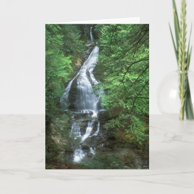 Tarjeta Moss Glen cae Stowe Vermont (Anverso)
